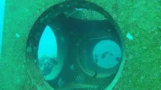 Artificial Coral Reef Installation and Natural Coral Relocation in Rabigh