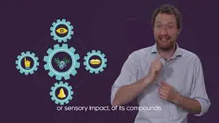 Understanding the Juniper Berry - Research Bites with Dr Matthew Pauley