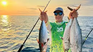 How To Use Inline Planer Bridle Tutorial: Trolling for Sailfish & Record Bonitas