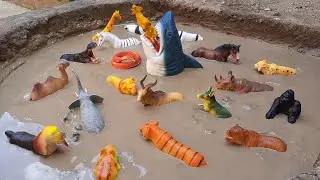 Animais de Plástico Presos na Lama Camelo Girafa Cachorro Elefante Hipopótamo Leão Elande Cobra Boi