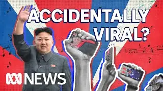 North Korea propaganda goes viral, but was that the plan? | ABC News In-depth