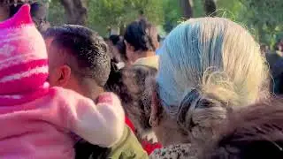 🐒🦬 zoo delhi #animallovers #zoo #delhi #wildlife #vairalvideo #trending #explore #enjoyment #animals