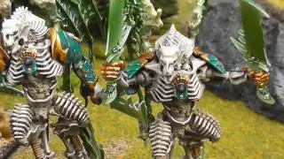 Projekt Update - Warhammer Arkhan der Schwarze und Morghasts - Phantasos Studio