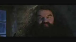 Wizard People, Dear Reader - HAGAR'S GIFTS (Chapter 4)