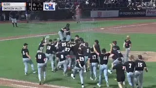 Aledo vs Smithson Valley Baseball Texas State Championship Highlights