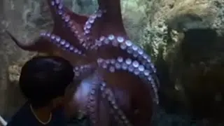 Dubai Aquarium