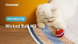 Cheerble Wicked Ball M3: Embrace Smart Pounce