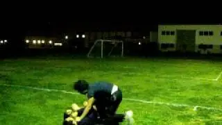 Alex Cross' fighting scene with Tiger