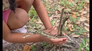 Backyard Stick House | Fun Outdoor Activity for Kids!