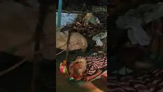 Helpingfood🙏🙏#poorpeoplehelp #homelesspeople#helpinghands #helpfood#helping #trending #shortvideos