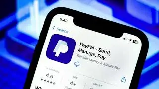 PayPal Stock Drops 20% in February: What Investors Need to Know