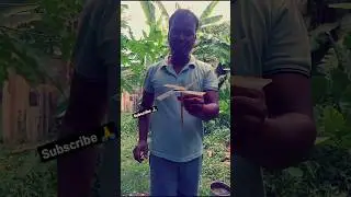 Hand made coconut leaf wheel  #shorts #singerbhai
