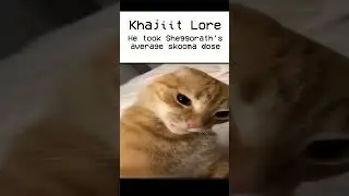Khajiit Lore vs Alessian Order #elderscrolls #funny #lore #meme #memes #skyrim #cat #games #chad