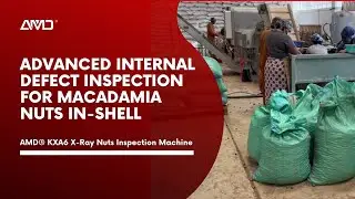 KXA6-G X Ray Machine: Showcase of #Macadamia in-shell Sorting in Kenya  | AMD&reg;  #X600(AI+HD)