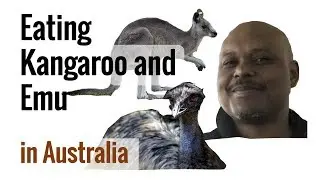 Prince Harry & Meghan ate here. On the menu? Kangaroo and Emu.