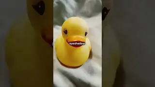 what should I name them? #duck #makeup