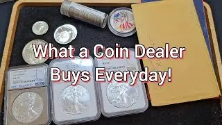 Weekly Coin Shop Review | Top Purchases & New Inventory