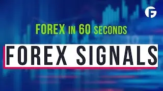 What are forex signals?