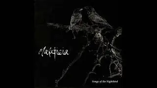 Maleficia - Morbid and the Nameless