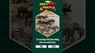 Survival Fact: Animal Tracks & Drinking Water