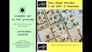 1 vel DSP voor 6 kaarten (deel 2) - Stampin' Up! 