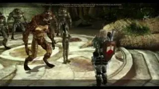 Dragon Age Origins: Betraying the Dalish elves