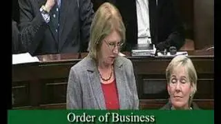 Jan O'Sullivan raises Shannon in the D&aacute;il