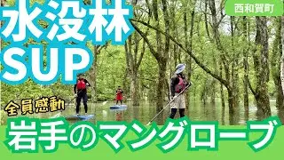 【全員感動】岩手のマングローブ！錦秋湖水没林SUP
