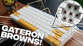 RK84 Review - The PERFECT Budget Keyboard For Anyone!