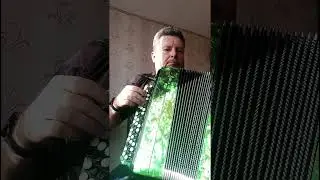 #valses #Griboedov #accordion #cover #music#музыка #musica