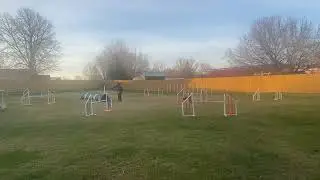 Juno Jumping 1 Wk 184