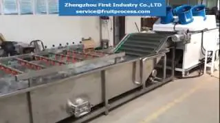 chestnut washing drying sorting machine, chestnut grading machine