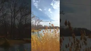 A series of small moments. #viral #song #music #remix #slowedandreverb#liketime#reels #vide#linktree