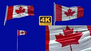 Canada flag green screen 4k
