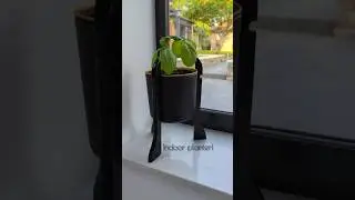 DIY - Upcycled wooden hangers to make a planter! (Check Desc for details)#shorts#trending #upcycling