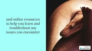 Unlocking the Power of Python. #python #pythonprogramming #pythontutorial #pythonprojects