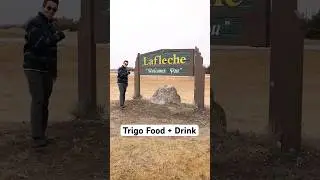 Trigo Food + Drink in Lafleche #saskatchewan