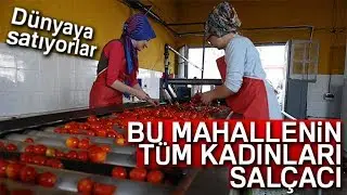 Bu Mahallenin Tüm Kadınları Salçacı