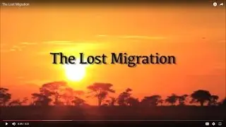 The Lost Migration