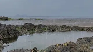 Rain & wave sounds at an ocean beach that will relax and sooth you into a deep sleep #rain #insomnia