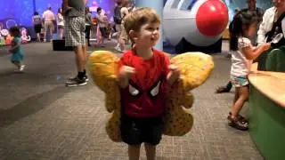 Flap Those Wings