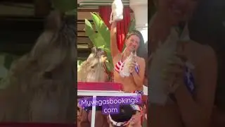 Popping bottles? #vegasclubs #encorebeachclub #bottleservice