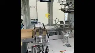 MTW - Affordable  Carton Tray Erector Machine