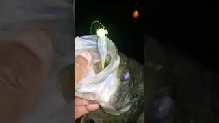 💥💥We Are Totally Documented Here At  Cam's Crappie Hole  Catching Big Crappie Like This💥💥