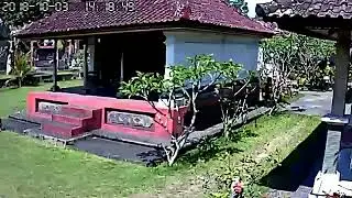 Goade.  Gusman