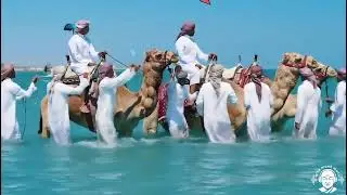 ДАХАБ / DAHAB 3 / New song release / WISEMONKMUSIC