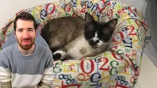 TJI FALA SOBRE O GATO QUE RESGATOU DA RUA