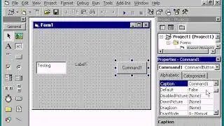 VB6 Textbox , CommandButton and Label