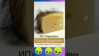 сыр#shorts#lo#funny#comedy#юмор#прикол#анекдот#шутка#рекомендации