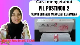 CARA TAU PIL POSTINOR 2 SUDAH BERHASIL MENCEGAH KEHAMILAN